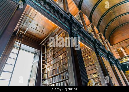 Long passage voûté avec clôtures et colonnes dans la bibliothèque publique légère de l'université avec collection de livres intéressants sur les étagères Banque D'Images