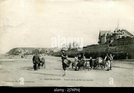 Arromanches-les-bains, revenant de la pêche aux moules Département: 14 - Calvados région: Normandie (anciennement Basse-Normandie) carte postale ancienne, fin 19th - début 20th siècle Banque D'Images