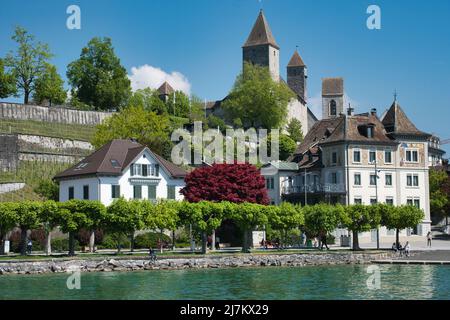 CHÂTEAU DE RAPPERSWIL JONA AU-DESSUS DE MAISONS ET DE VIGNOBLES SUR LE CÔTÉ DU LAC DE ZURICH, EN SUISSE Banque D'Images