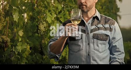 enologiste de culture avec des verres de vin. sommelier. fermier boit du vin. santé. vinedresser boit. Banque D'Images