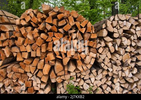 Seaux en bois d'hiver coupés et prêts à la vente. Banque D'Images