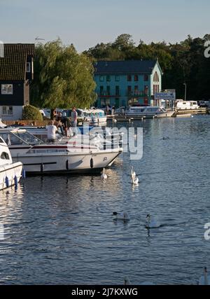 Les Norfolk Broads à Wroxham on the River Bure, Wroxham, Norfolk, Angleterre, Royaume-Uni Banque D'Images