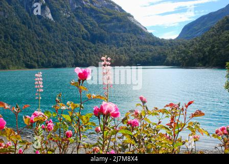 Vue panoramique sur le lac Nahuel Huapi en Argentine près de Puerto Bles. Mise au point sélective Banque D'Images