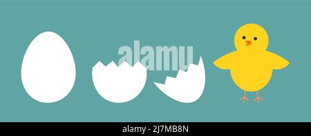 L'histoire de l'œuf et de la poussin de Pâques. Un joli poussin a éclos de l'œuf. Illustration vectorielle. Illustration de Vecteur