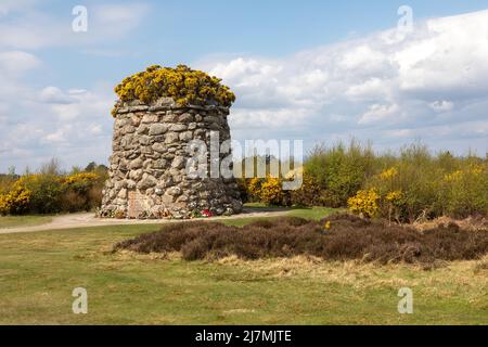 Cairns marquant le champ de bataille de Culloden Moor Ecosse Banque D'Images