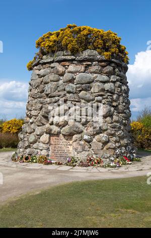 Cairn marquant le champ de bataille de Culloden Moor Ecosse Banque D'Images