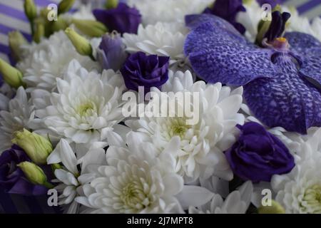 Un magnifique bouquet de chrysanthèmes blancs et de fleurs et roses d'orchidées bleues de Vanda Sansai. Vue de dessus, gros plan. Banque D'Images