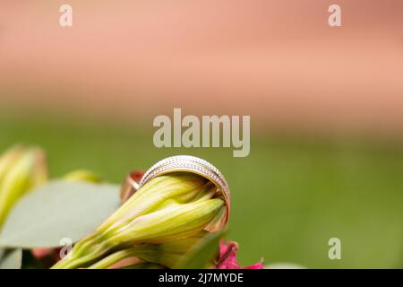 anneaux d'or de mariage de la mariée et du marié se trouvent sur le fond d'un bouquet de fleurs de la mariée, anneaux d'or au mariage Banque D'Images