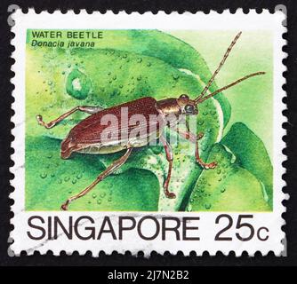 SINGAPOUR - VERS 1985 : un timbre imprimé à Singapour montre Water Beetle, Donacia Javana, vers 1985 Banque D'Images