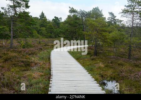 La lande noire au Rhoen, en Bavière, en Allemagne, en automne avec un nouveau sentier de lande Banque D'Images