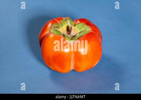 un persimmon sur fond bleu Banque D'Images