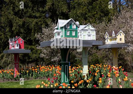 Mangeoires d'oiseaux dans les jardins Floral Showhouse. Niagara Falls Ontario Canada. Banque D'Images