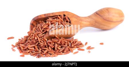 Riz rouge isolé dans une pelle à olives, sur fond blanc. Riz brun cru au grain entier Banque D'Images