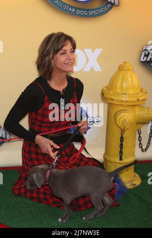 LOS ANGELES - 22 NOVEMBRE : Wendie Malick à la "cause des griffes: All-Star Dog Spectacular" de FOX au Barker Hanger le 22 novembre 2014 à Santa Monica, CA Banque D'Images