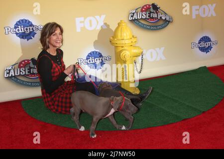 LOS ANGELES - 22 NOVEMBRE : Wendie Malick à la "cause des griffes: All-Star Dog Spectacular" de FOX au Barker Hanger le 22 novembre 2014 à Santa Monica, CA Banque D'Images