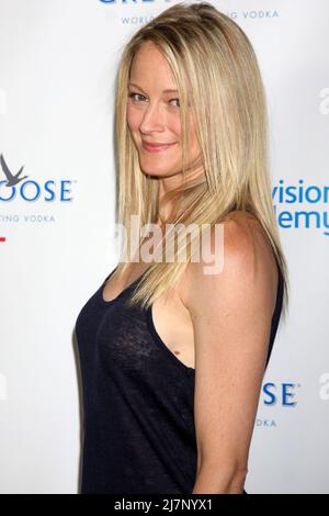 LOS ANGELES - 1 JUIN : Teri Polo à l'Académie de télévision annuelle 7th distinctions honorifiques à l'Hôtel SLS le 1 juin 2014 à Los Angeles, CA Banque D'Images