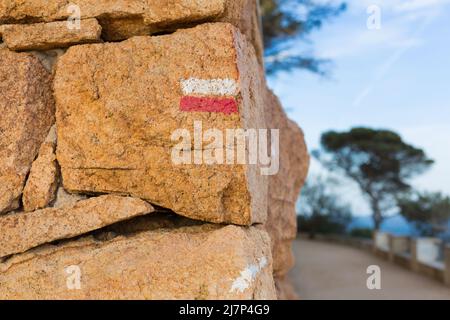 Sentier côtier sur la Costa Brava, à Sant Feliu de Guixols, Gérone, Catalogne, Espagne. Banque D'Images