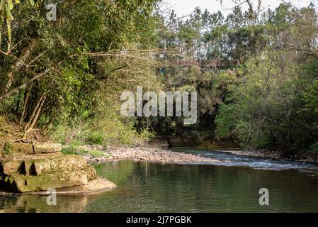 Balançoire en corde sur une rivière Banque D'Images