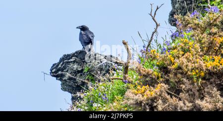 Vault Beach 290422 Banque D'Images