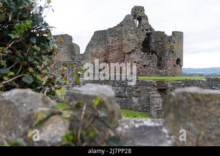 Vue au nord du château de Rhuddlan, érigé en 1277 à côté de la rivière Clwyd Banque D'Images