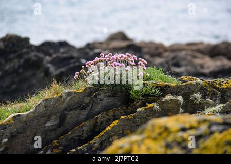 Vault Beach 290422 Banque D'Images