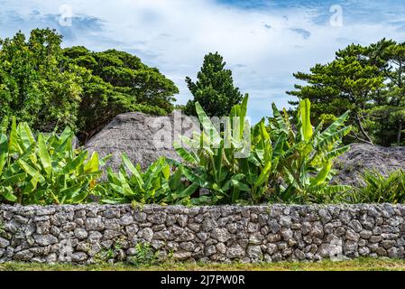 Maison traditionnelle d'Okinawan sur le toit de chaume dans le parc Ocean Expo d'Okinawa Banque D'Images