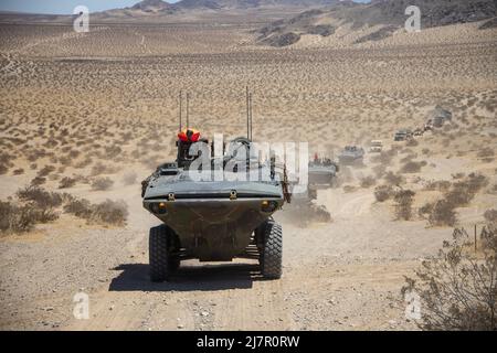 U.S. Marines with Bravo Company, 3D Assault Amphibian Battalion, 1st Marine Division, occupe un nouveau poste lors de l'exercice de combat de la Force opérationnelle terrestre du corps des Marines (MWX) 3-22 au Marine corps Air Ground combat Centre Twentynine Palms, Californie, le 4 mai 2022. MWX est un exercice de force sur la force qui met la Division au défi de se battre à grande échelle contre un adversaire de pensée libre. (É.-U. Photo du corps marin par Cpl. Jacob Yost) Banque D'Images