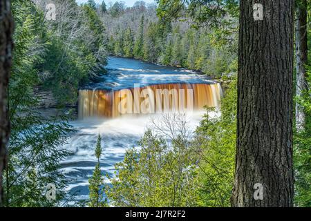 Une vue printanière de la partie supérieure des chutes Tahquamenon dans la péninsule supérieure du Michigan Banque D'Images