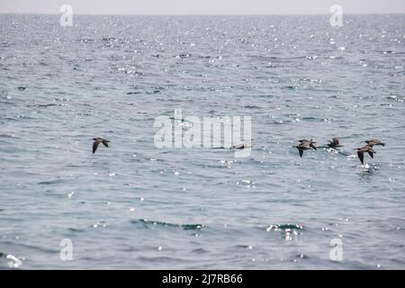 Vault Beach 290422 Banque D'Images