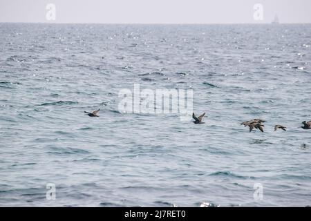 Vault Beach 290422 Banque D'Images
