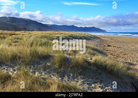 Ocean Beach dans la région de Hawke's Bay, Nouvelle-Zélande. L'herbe de maram pousse dans les dunes. À l'horizon se trouve Cape kidnappers Banque D'Images