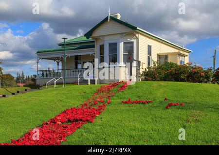 Un tapis de coquelicots rouges de jour d'Anzac menant à une maison historique sur le terrain de l'hôpital de Tauranga, Tauranga, Nouvelle-Zélande Banque D'Images