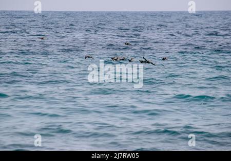Vault Beach 290422 Banque D'Images