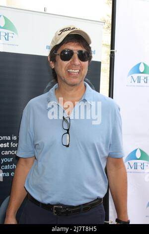 LOS ANGELES - 10 NOVEMBRE : ray Romano à la troisième Classique de golf de célébrité annuelle au profit de la Fondation de recherche de Melanoma au Lakeside Golf Club le 10 novembre 2014 à Burbank, CA Banque D'Images