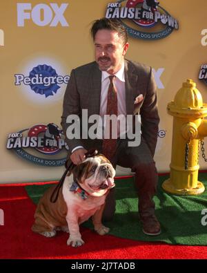 LOS ANGELES - 22 NOVEMBRE : David Arquette à la "cause des griffes: All-Star Dog Spectacular" de FOX au Barker Hanger le 22 novembre 2014 à Santa Monica, CA Banque D'Images