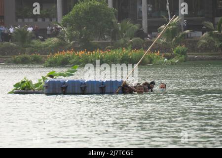 Colombo, Sri Lanka.9th mai 2022. Des manifestants anti-gouvernement furieux ont poussé des dizaines de personnes dans le lac Beira peu profond près des arbres du Temple. Banque D'Images