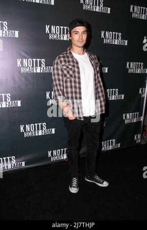 LOS ANGELES - octobre 3 : Tyler Blackburn à la Knott's Scary Farm Celebrity ouverture de VIP à Knott's Berry Farm le 3 octobre 2014 à Buena Park, Californie Banque D'Images