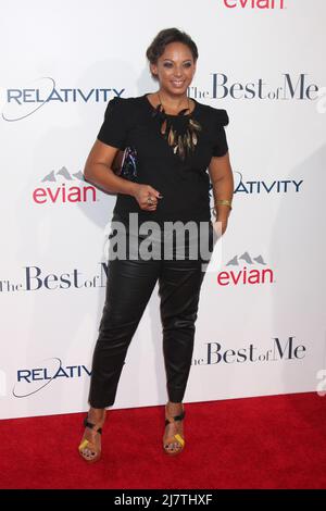 LOS ANGELES - octobre 7 : Donna DuPlantier à la première « The Best of Me » au Regal 14 Theatres le 7 octobre 2014 à Los Angeles, Californie Banque D'Images