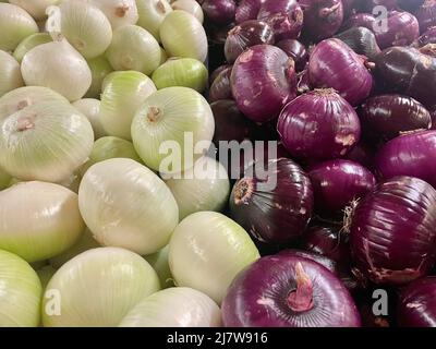 Agriculture, culture, agriculture et légumes concept: Gros bulbes d'oignons rouges et blancs en deux rangées. Banque D'Images