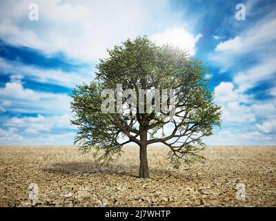 Chêne vert au milieu du désert. Le changement climatique et le réchauffement de la planète. 3D illustration. Banque D'Images