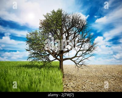 Chêne sur la moitié de l'herbe demi-terre désertique. Le changement climatique et le réchauffement de la planète. 3D illustration. Banque D'Images