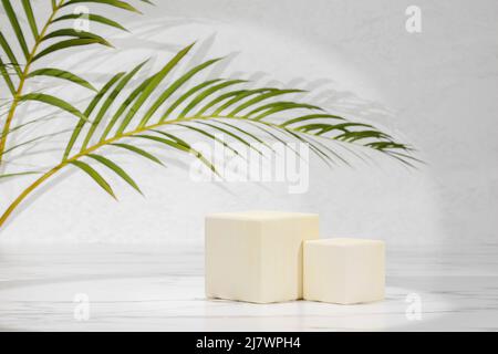 Podium en cube beige naturel dans un intérieur en marbre blanc et gris avec lumière du soleil et ombre. Vitrine moderne d'été avec podium en bois cubique et paume verte Banque D'Images