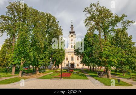 Cathédrale de Bjelovar de Teresa d'Avila vue depuis le parc central Banque D'Images