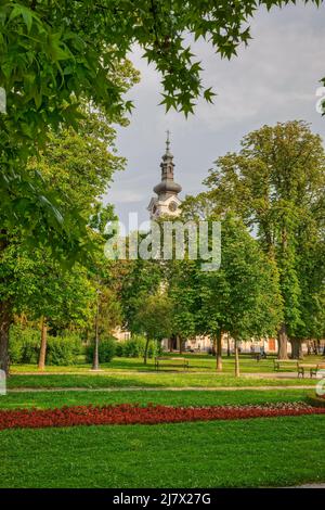 Cathédrale de Bjelovar de Teresa d'Avila vue depuis le parc central Banque D'Images