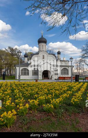 Église de la conception d'Anna, dans le coin, Moscou. Les fleurs printanières fleurissent au premier plan. Banque D'Images