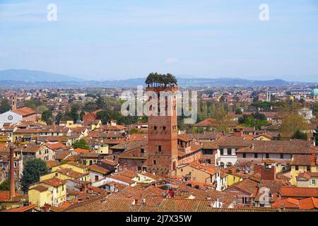 Torre Guinigi à Lucques, en Toscane - populaire pour les grands chênes verts, qui s'y développent et qui offre une vue panoramique sur les toits Banque D'Images