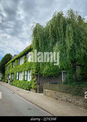 Belle maison couverte de feuilles de vigne surcultivées dans le quartier "Margarethenhöhe", la première colonie du mouvement de ville jardin en Allemagne. Banque D'Images
