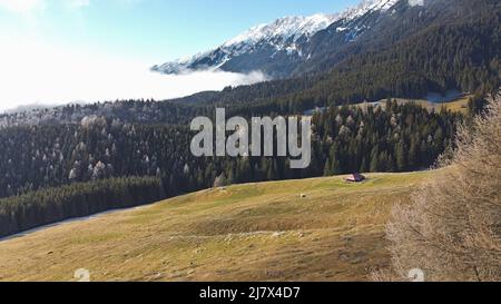 Vue aérienne d'un pli de mouton sur un pré, à côté d'une forêt de conifères, avec de beaux nuages, ciel bleu et les montagnes des Carpates en arrière-plan Banque D'Images