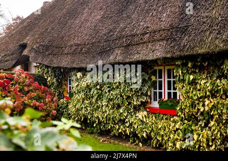 Chalet de toit de chaume à Adare, Irlande. Banque D'Images