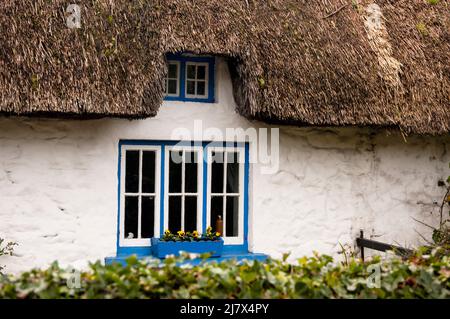 Chalet de toit de chaume à Adare, Irlande. Banque D'Images